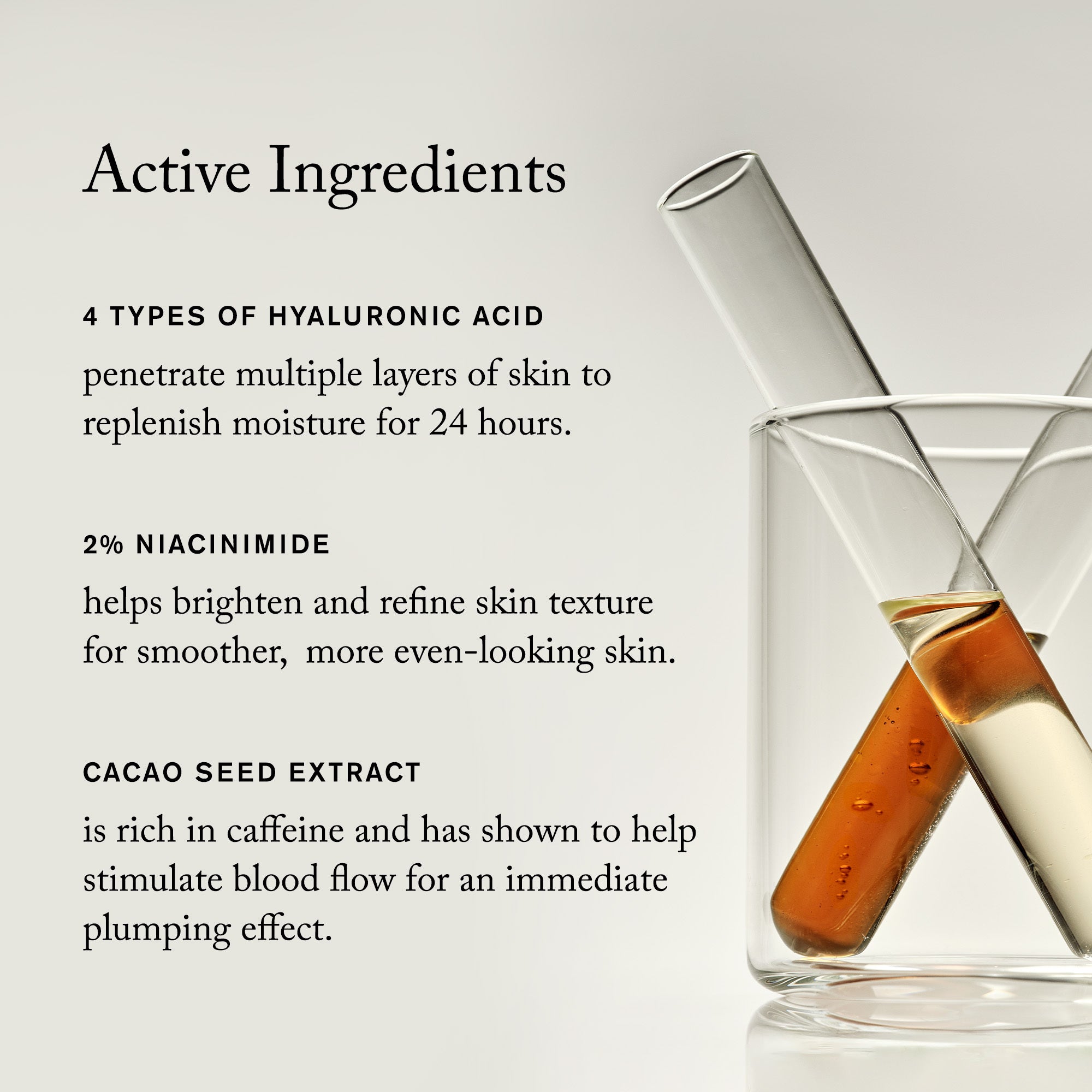 Master || Active Ingredients 4 types of Hyaluronic Acid penetrate multiple layers of skin to replenish moisture for 24 hours. 2% Niacinimide helps brighten and refine skin texture for smoother, more even-looking skin. Cacao seed extract is rich in caffeine and has shown to help stimulate blood flow for an immediate plumping effect. 