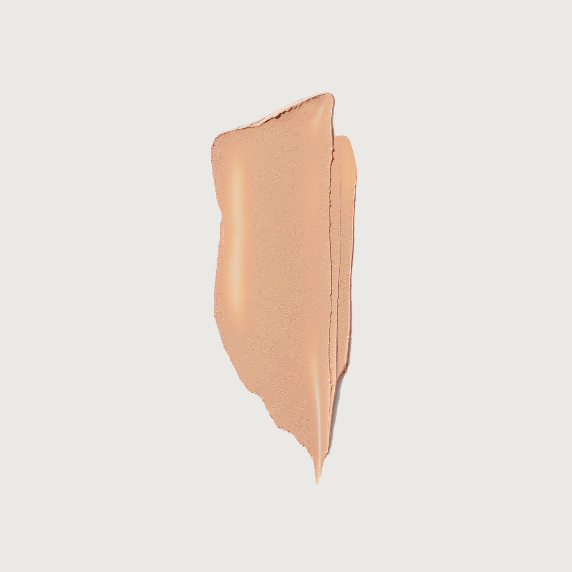 Master || Swatch of the minimalist in shade Palomino