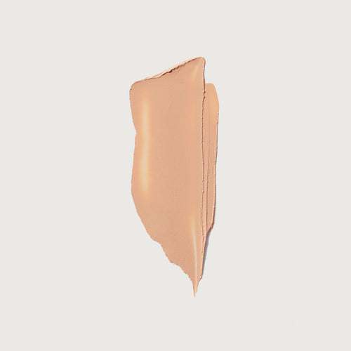 Master || Swatch of the minimalist in shade Palomino