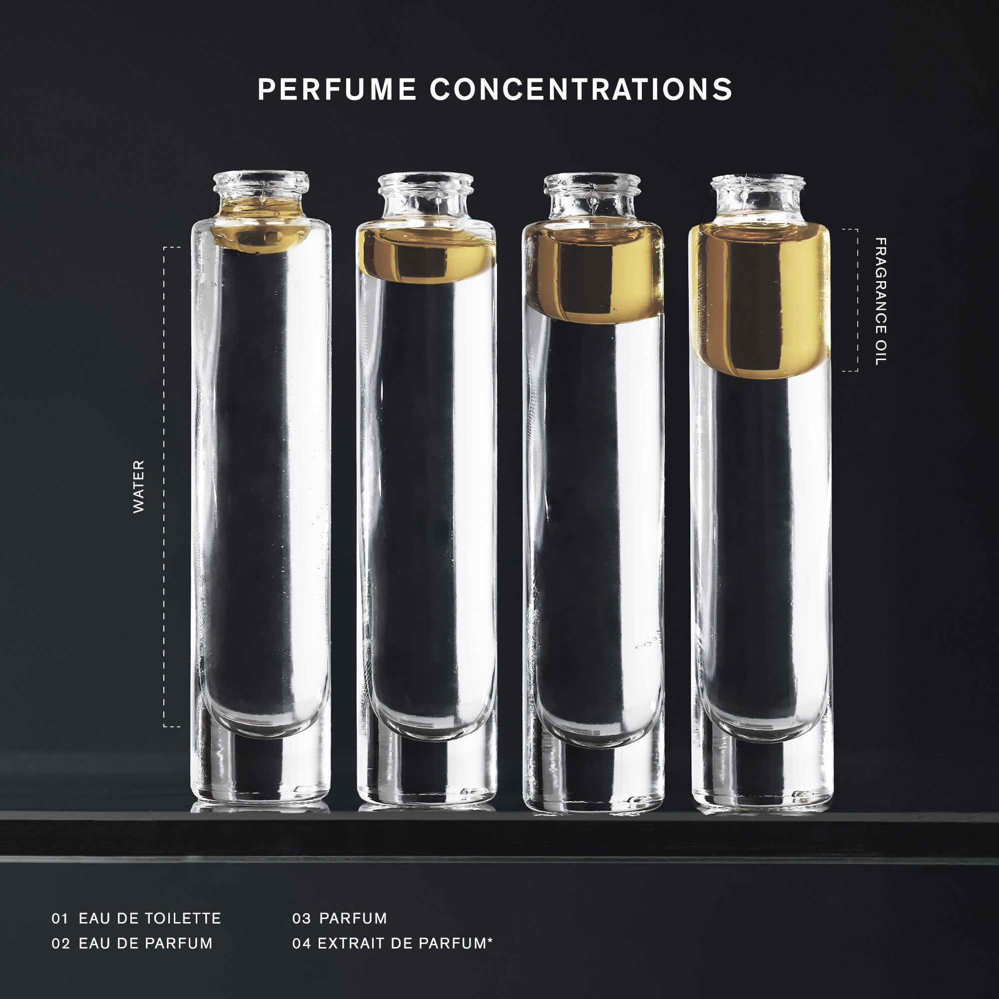 Master || Perfume Concentrations
